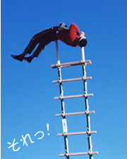 ���Ⴟ��������w�T