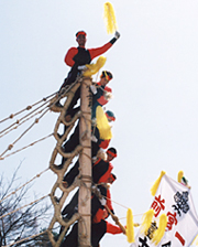 �ڏ��̒��_�ցI