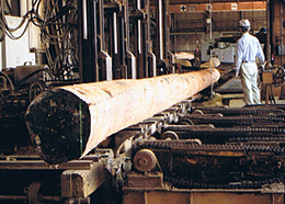 �R�X�g�_�E�����͂���ׁA���ނł���ޗ��͐��ދ@�ɂ����܂��B