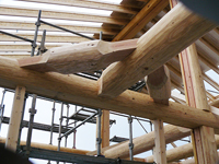 ���ܖ�s�@N�@